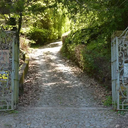 Quinta Do Pe Franco Hébergement de vacances *