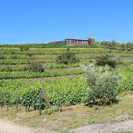 Quinta Do Pe Franco * Vila Real