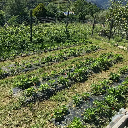 Quinta Do Pe Franco Vakantiehuis