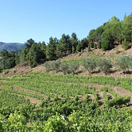 Quinta Do Pe Franco Hébergement de vacances Vila Real