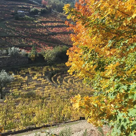 Quinta Do Pe Franco * Vila Real