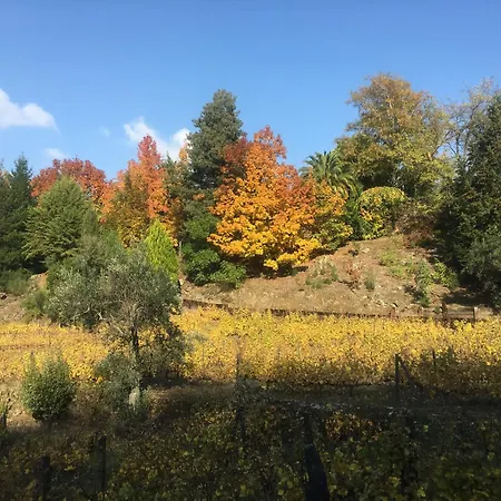 Quinta Do Pe Franco Vakantiehuis